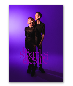 The Spark's Desire. Purple background with logo wall art.