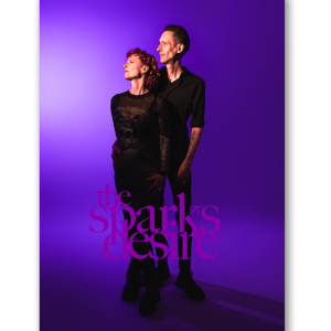 The Spark's Desire. Purple background with logo wall art.